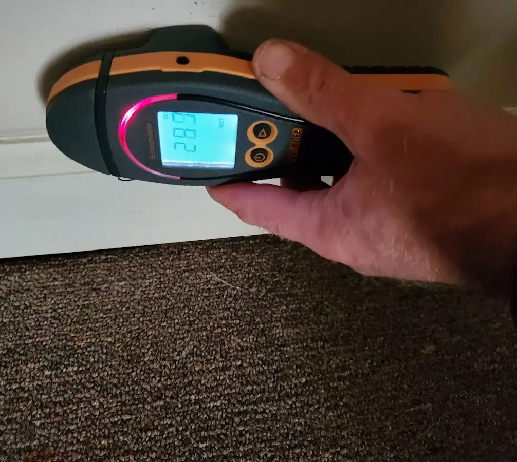 Moisture detection at baseboard during Mold Inspection & Testing in Niceville